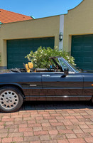 Alfa Romeo Spider aus Damenbesitz