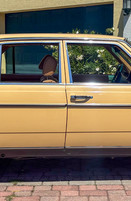 Mercedes Benz 230 W123