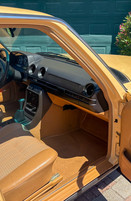 Mercedes Benz 230 W123