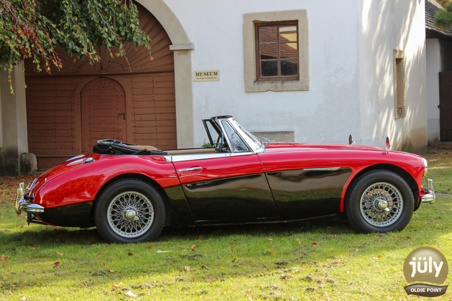 Austin Healey -01