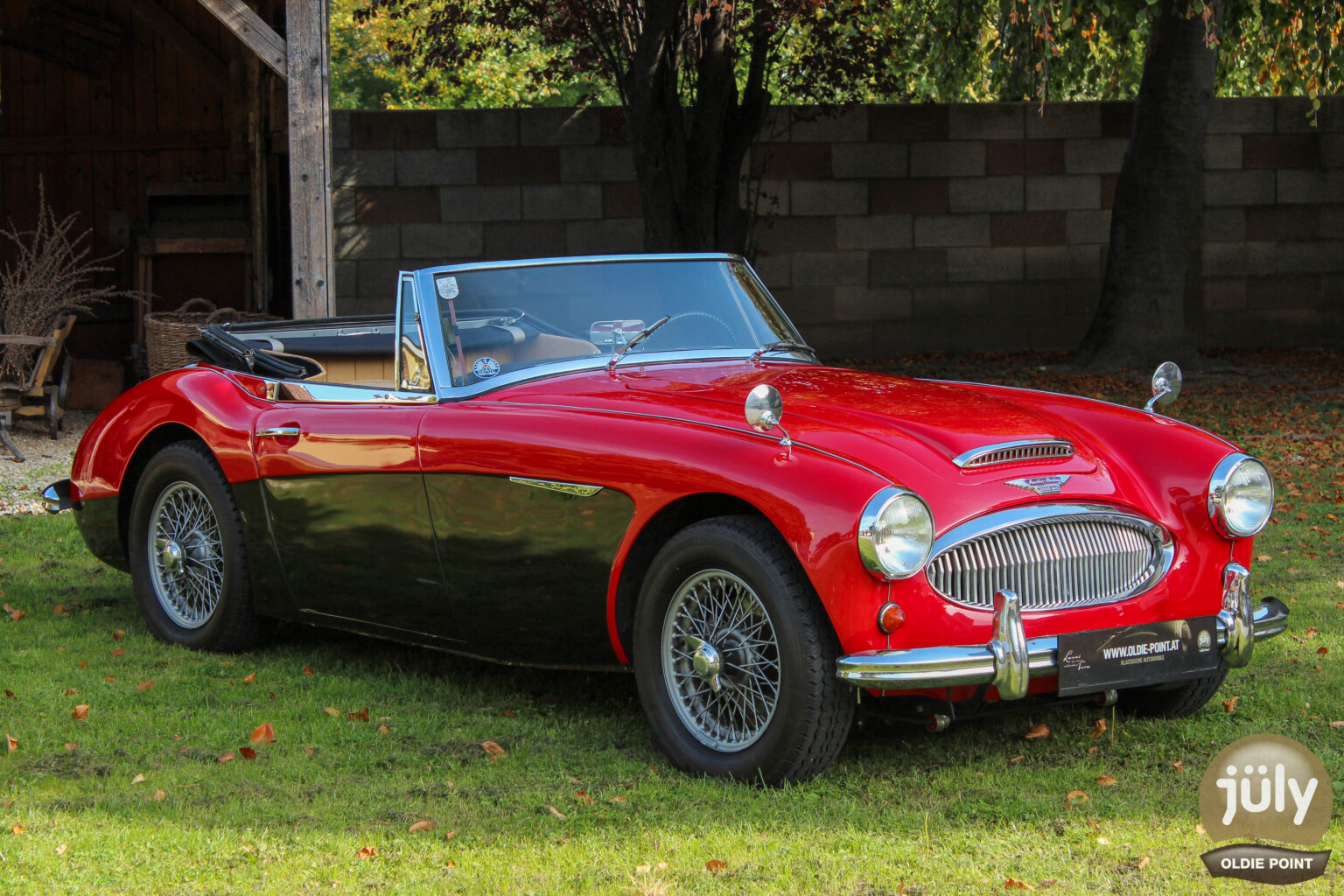 Austin Healey -02