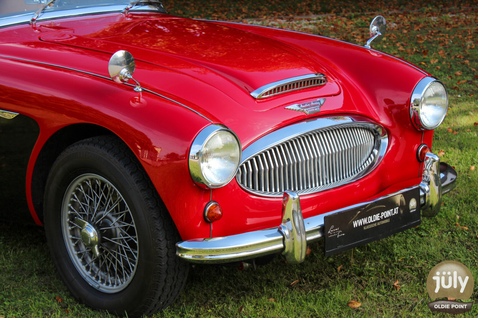 Austin Healey -03