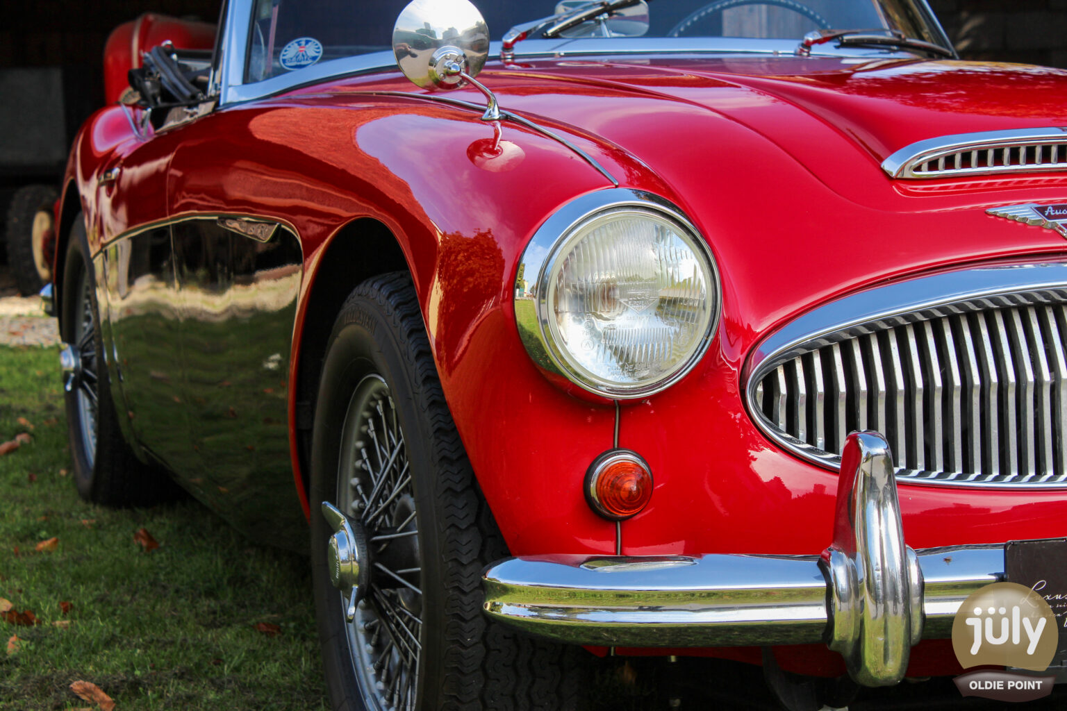 Austin Healey -04