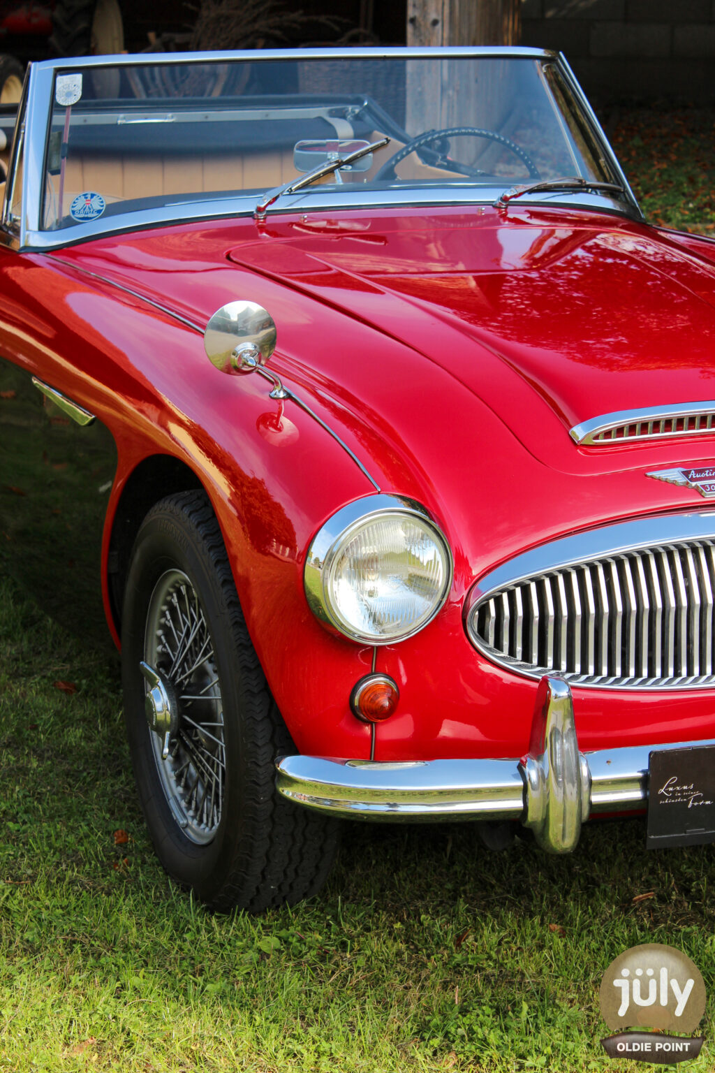 Austin Healey -05