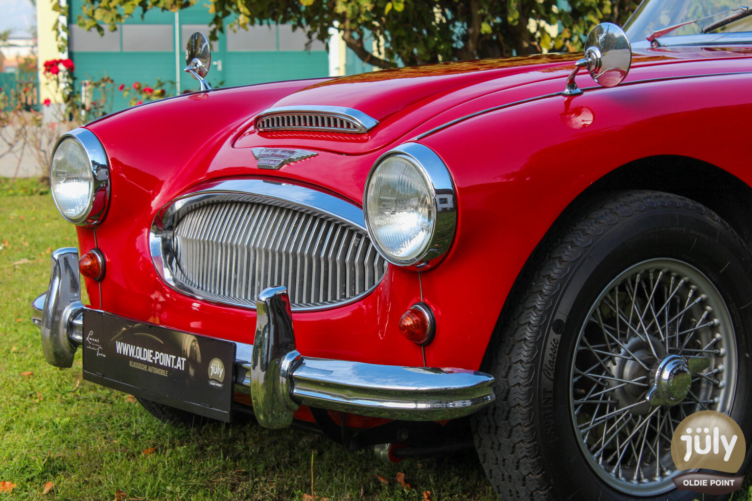 Austin Healey -06