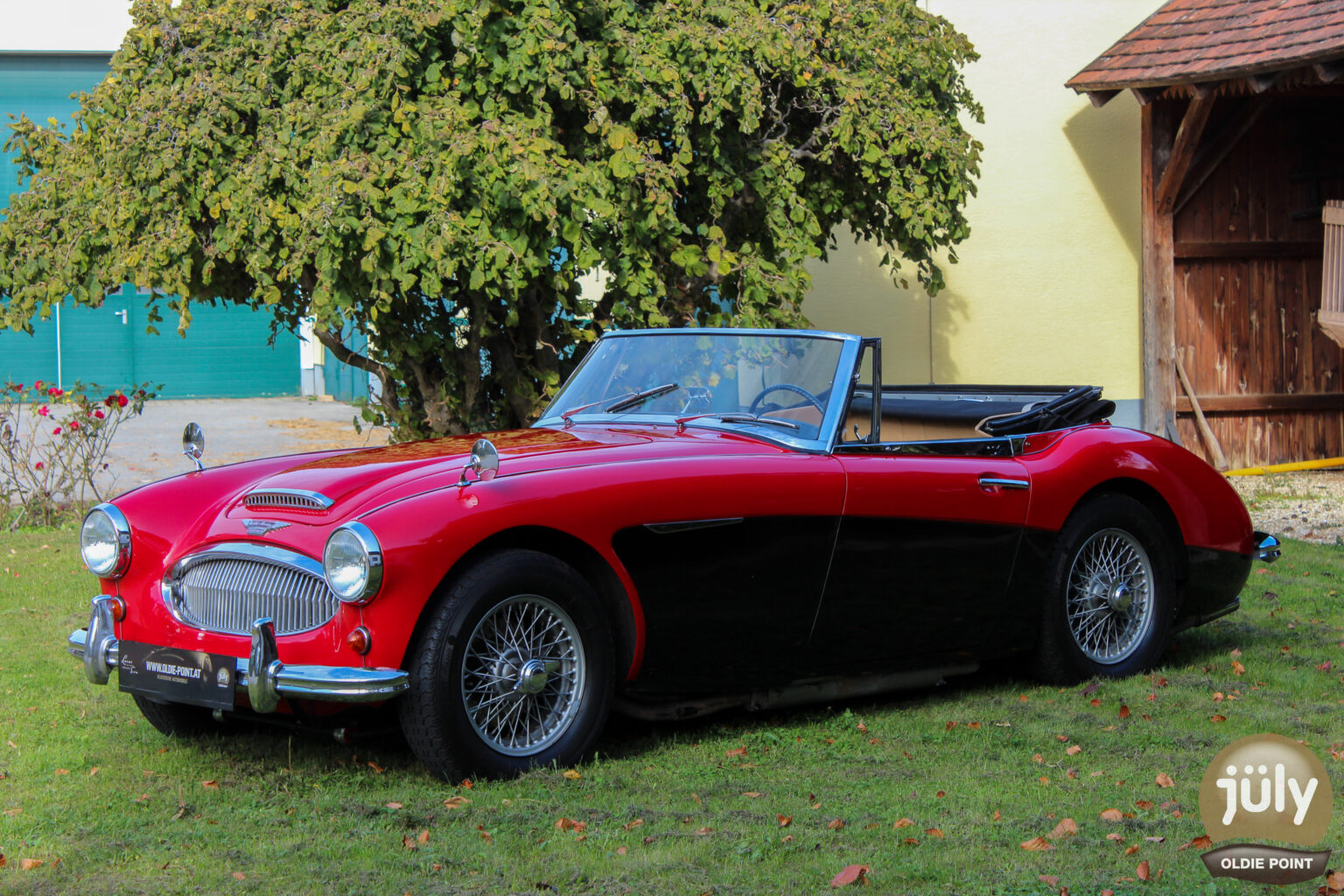 Austin Healey -07