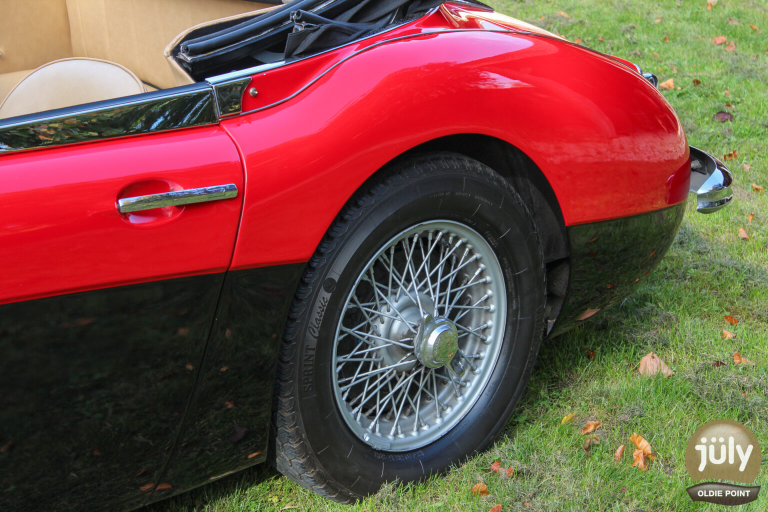 Austin Healey -08