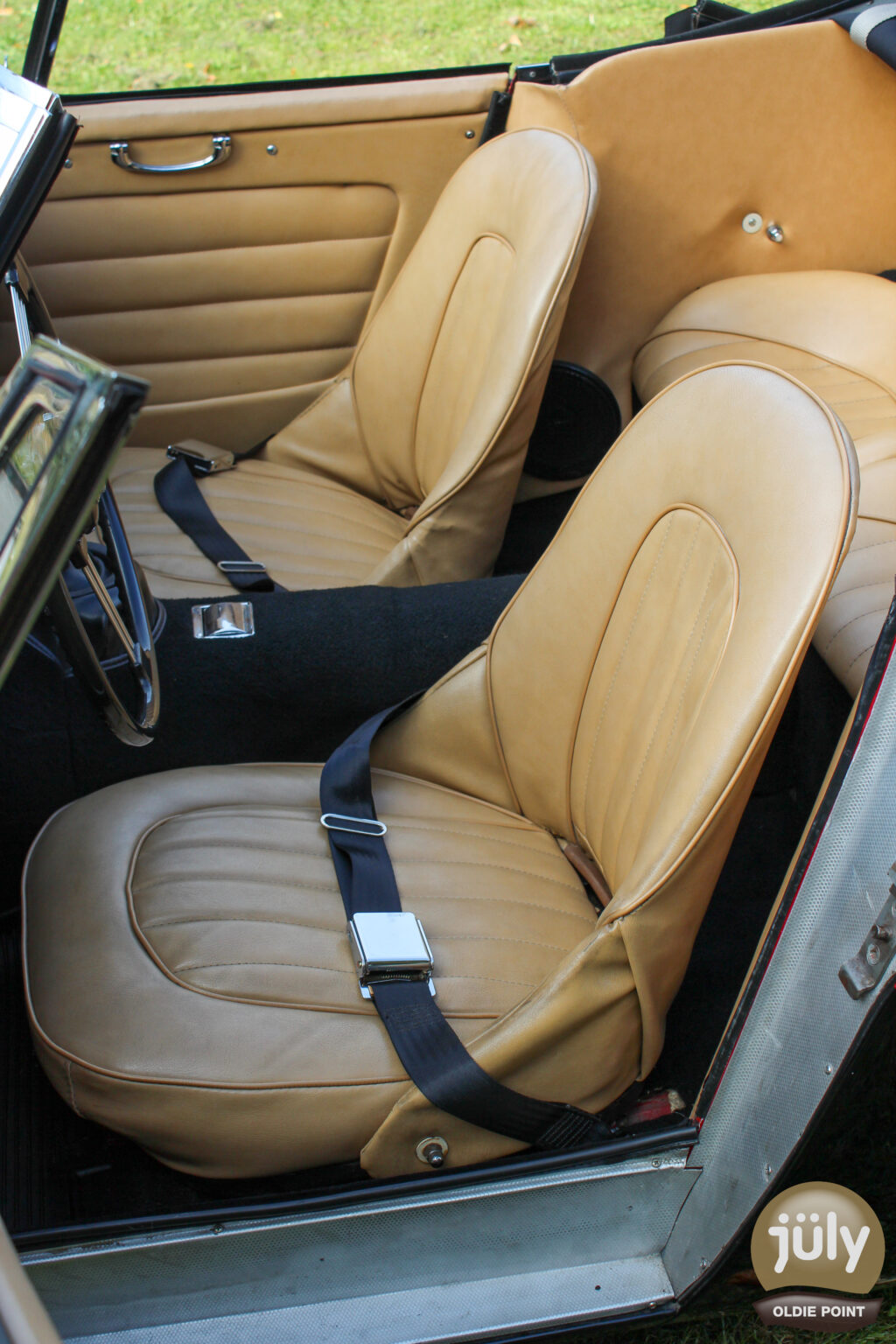 Austin Healey -09