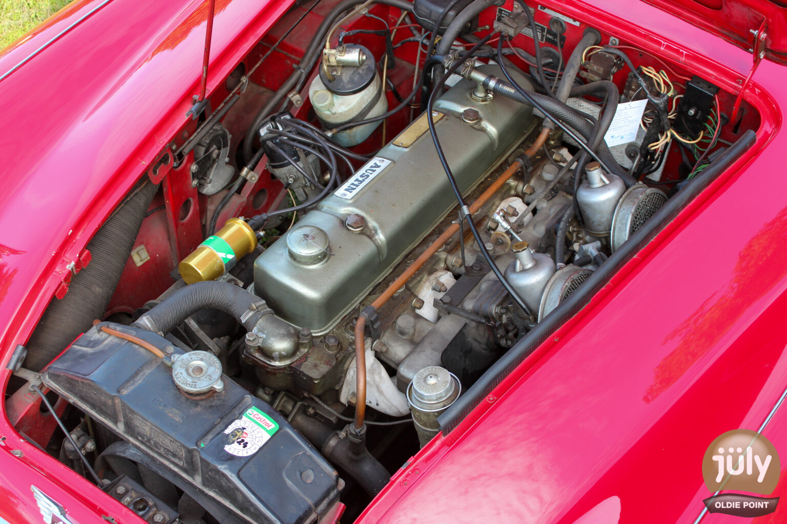 Austin Healey -11