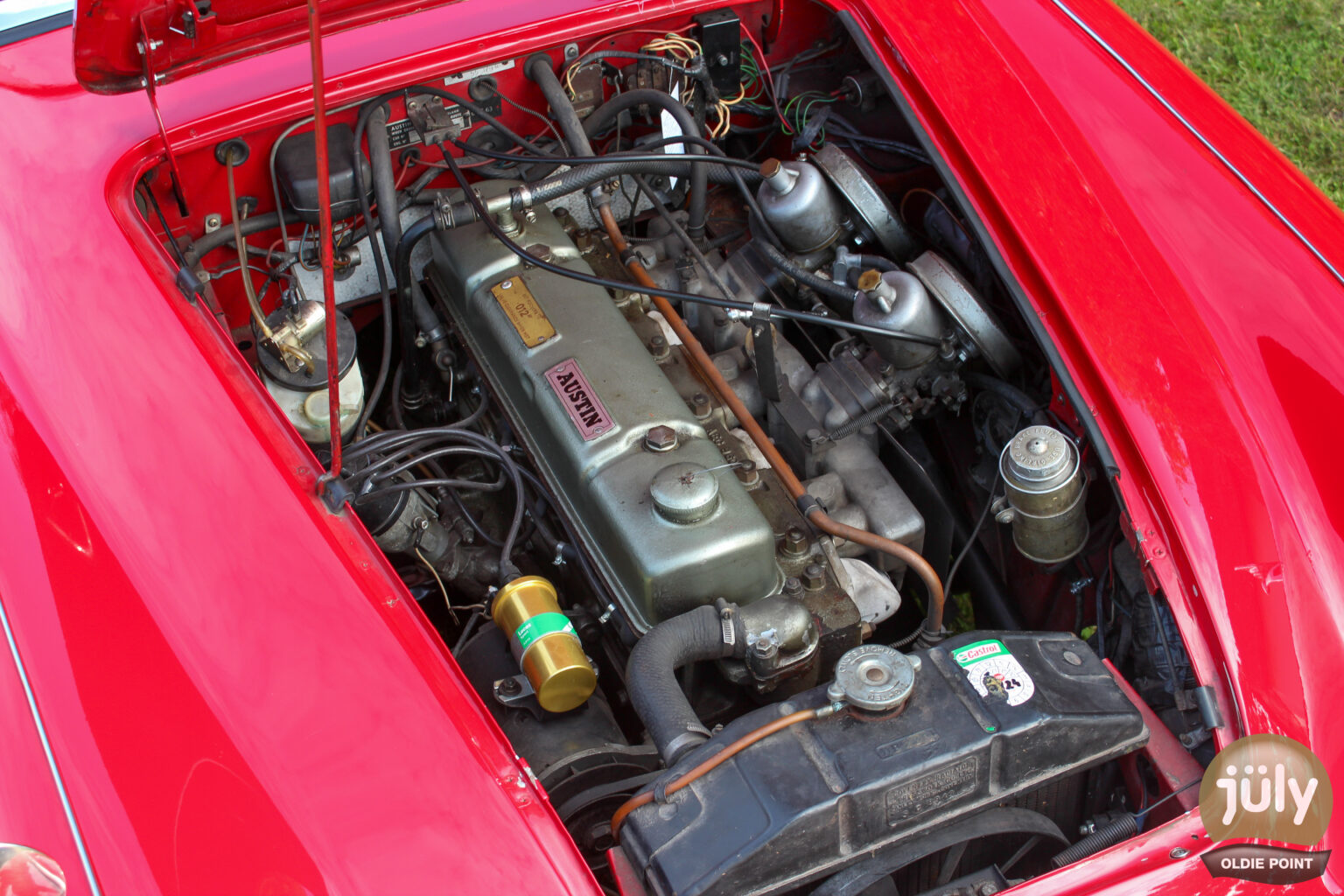 Austin Healey -12