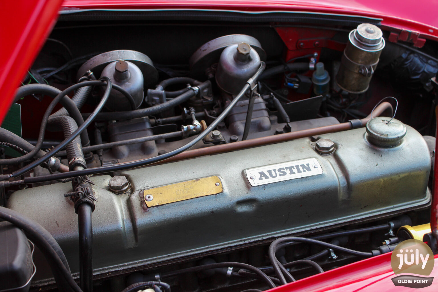 Austin Healey -13