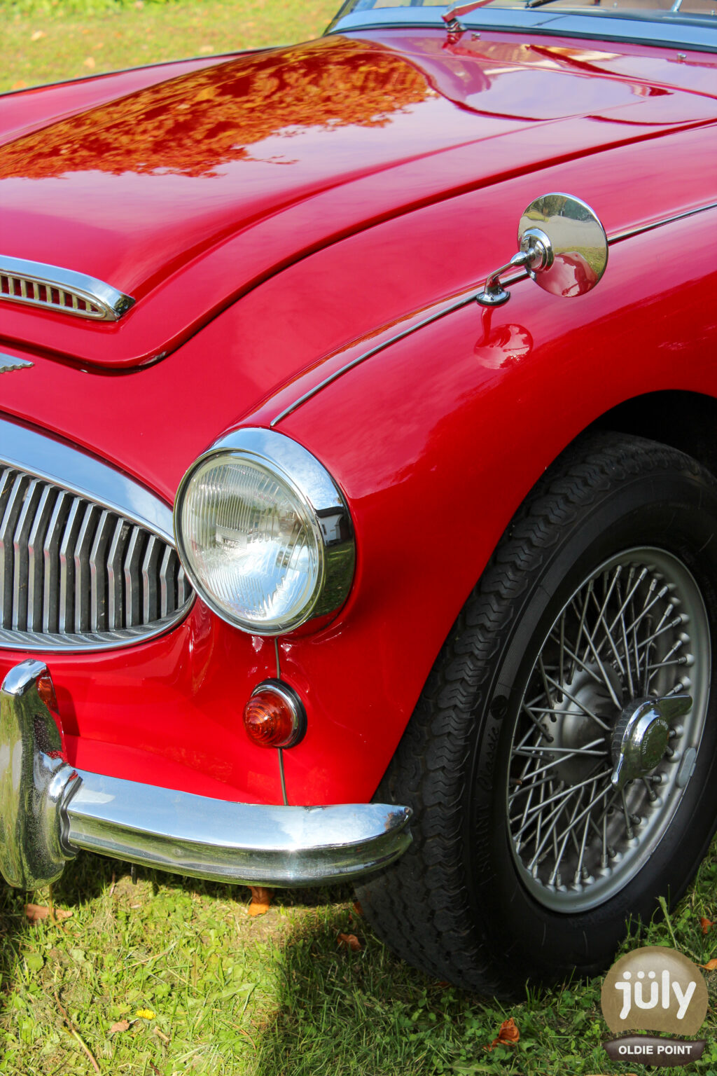Austin Healey -14