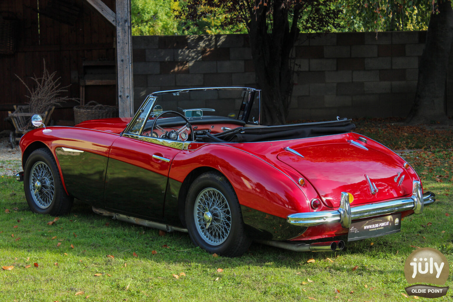 Austin Healey -16
