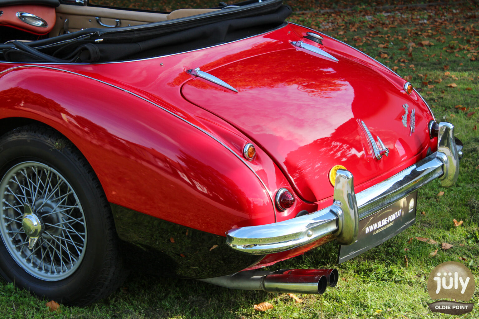 Austin Healey -17