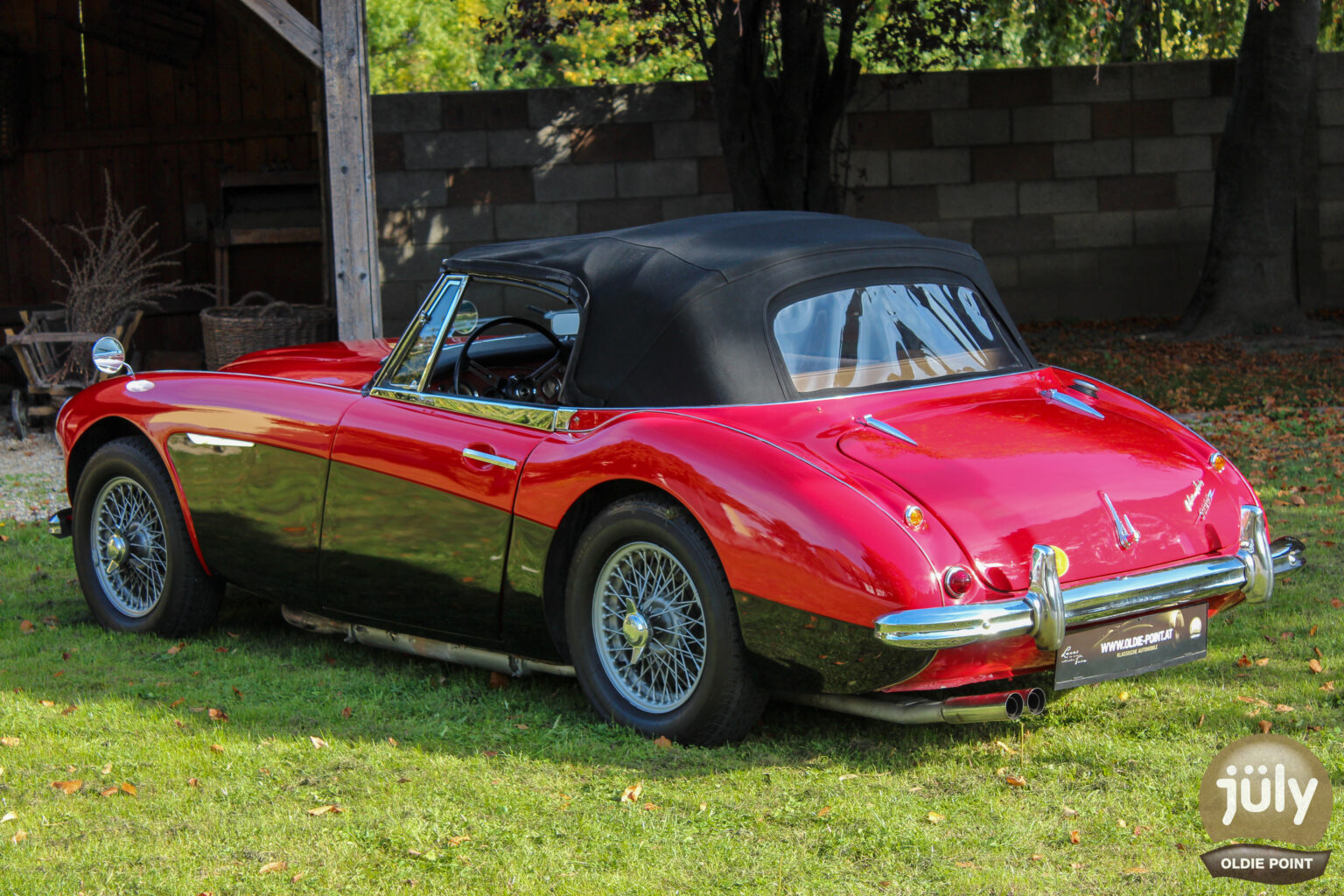 Austin Healey -24