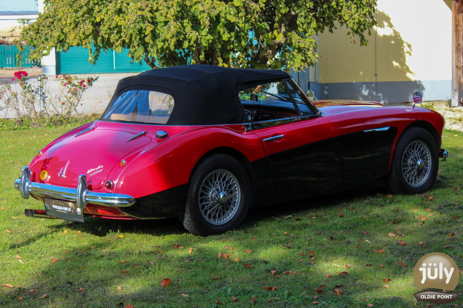 Austin Healey -25