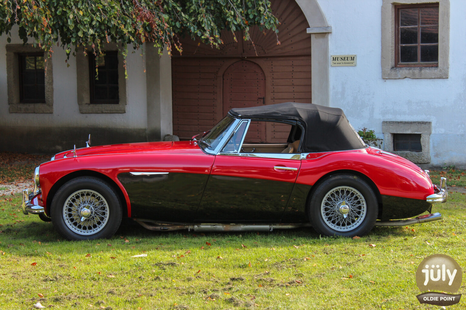 Austin Healey -26